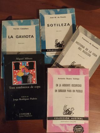 Clásicos de Literatura Española