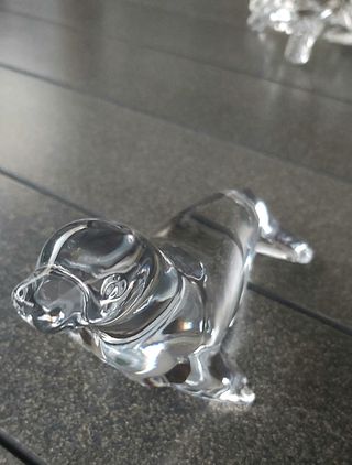 Foca Cristal de Bohemia