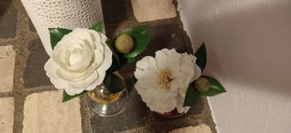 Sia deco 2 piccoli vasi illusione d'acqua camelia