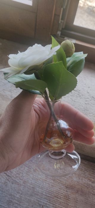 Sia deco 2 piccoli vasi illusione d'acqua camelia