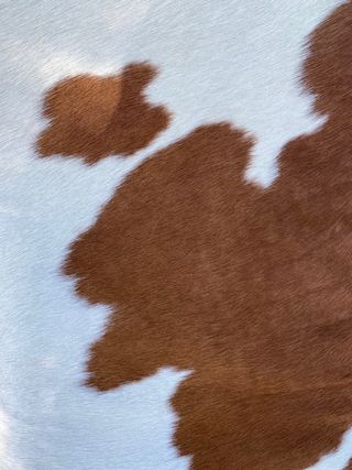 divan de diseño piel