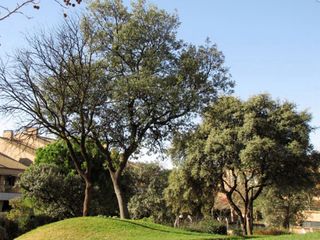 Jardinero