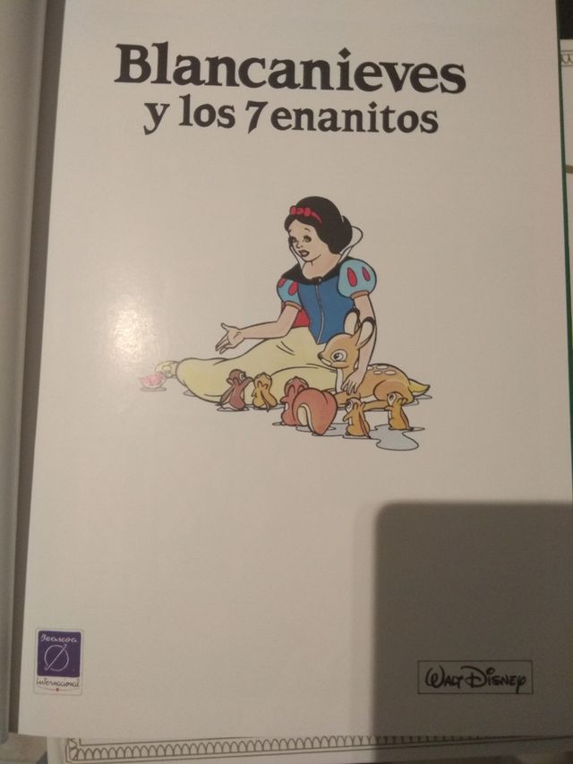 Coleccionista libros Disney Vintage coleccionista