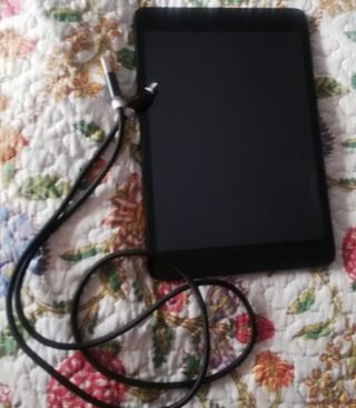 Mini ipad 1