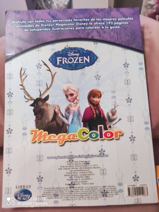 Libro para colear de flonce.