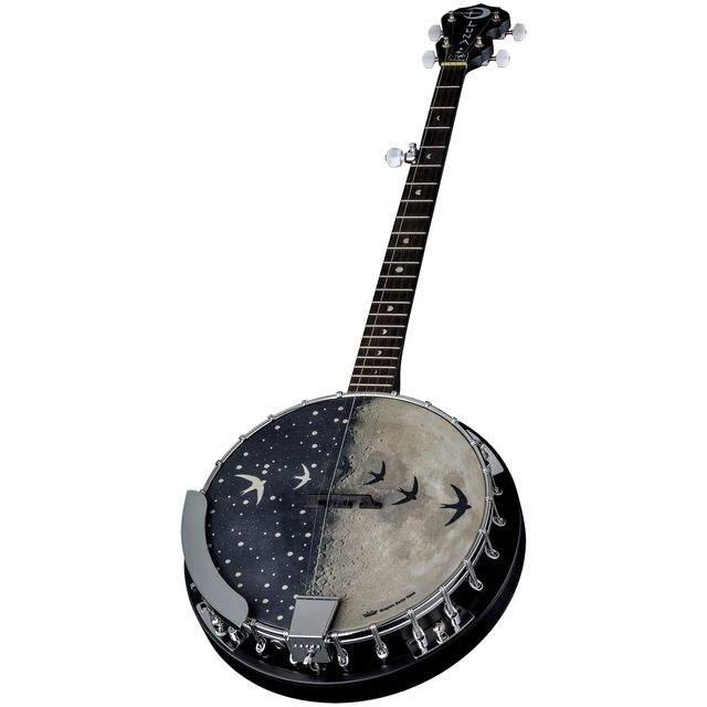 Banjo eléctrico 5 cuerdas de segunda mano por 250 EUR en Facinas en