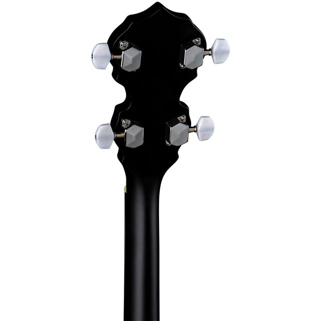 Banjo eléctrico 5 cuerdas de segunda mano por 250 EUR en Facinas en