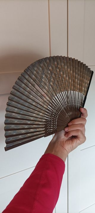 Hand painted fan