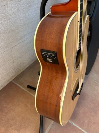 Bajo acustico Ibanez 5 cuerdas