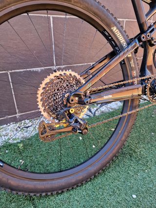 Bicicleta Specialized Enduro Élite Carbón 29"