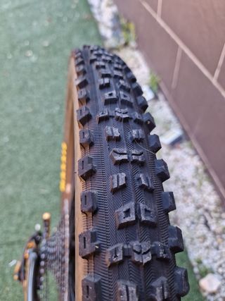 Bicicleta Specialized Enduro Élite Carbón 29"