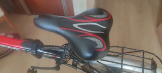 Bicicleta eléctrica