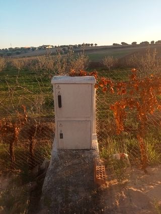 Finca venta Yuncos 10.000 metros