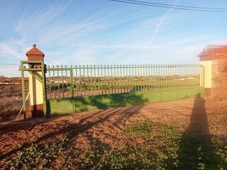 Finca venta Yuncos 10.000 metros