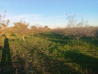 Finca venta Yuncos 10.000 metros