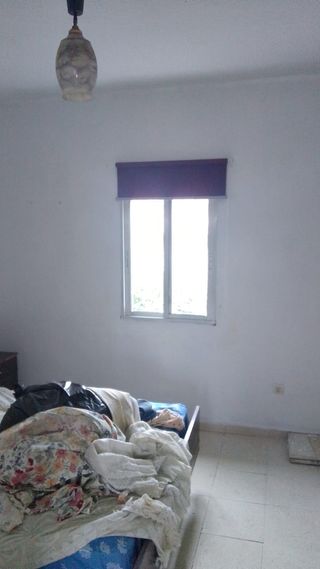 Pintor económico