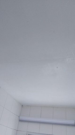Pintor económico