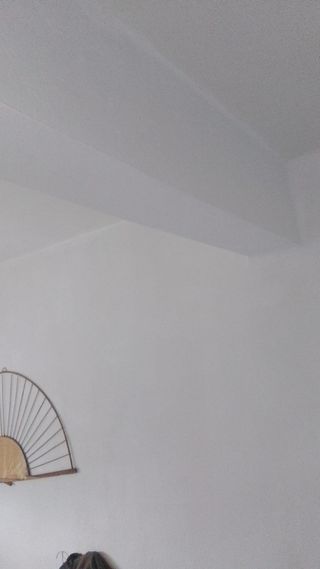 Pintor económico