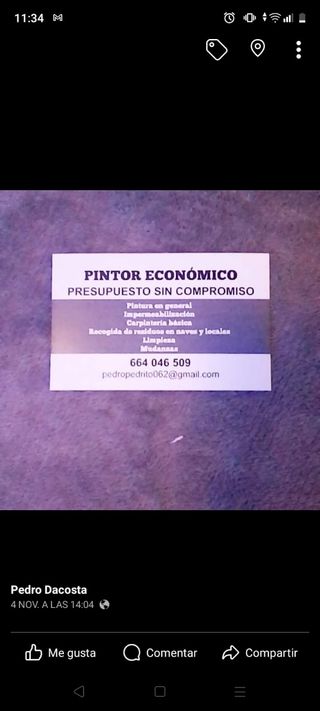 Pintor económico