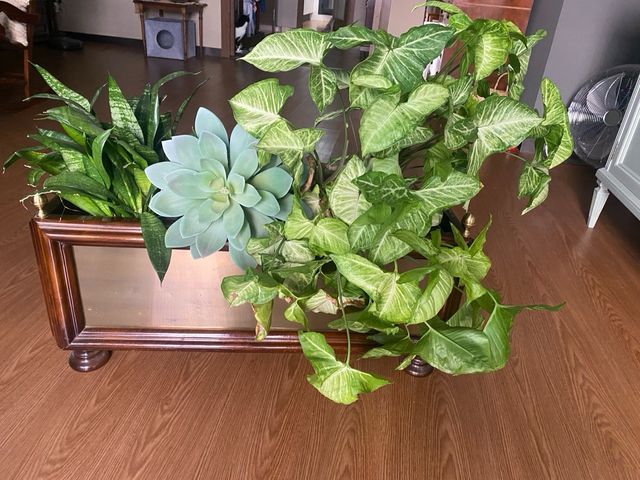 Macetero decorativo para interior