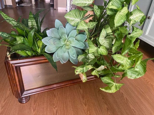 Macetero decorativo para interior