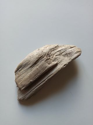 Legno spiaggiato del golfo di Napoli