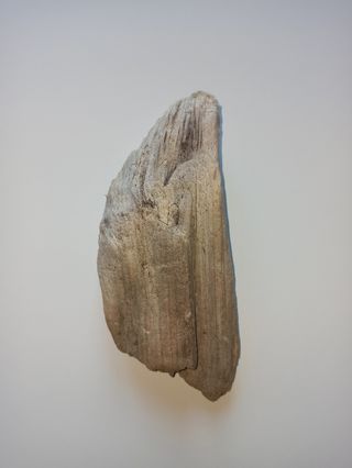 Legno spiaggiato del golfo di Napoli