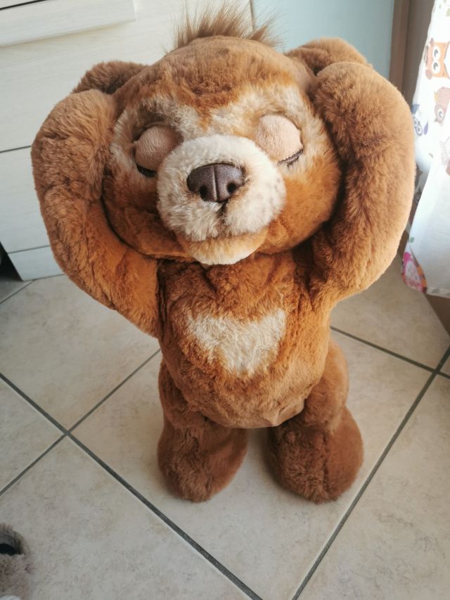 Orsetto cubby interattivo