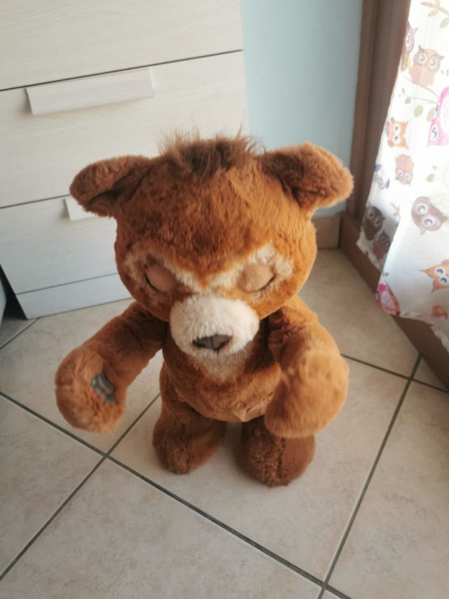 Orsetto cubby interattivo