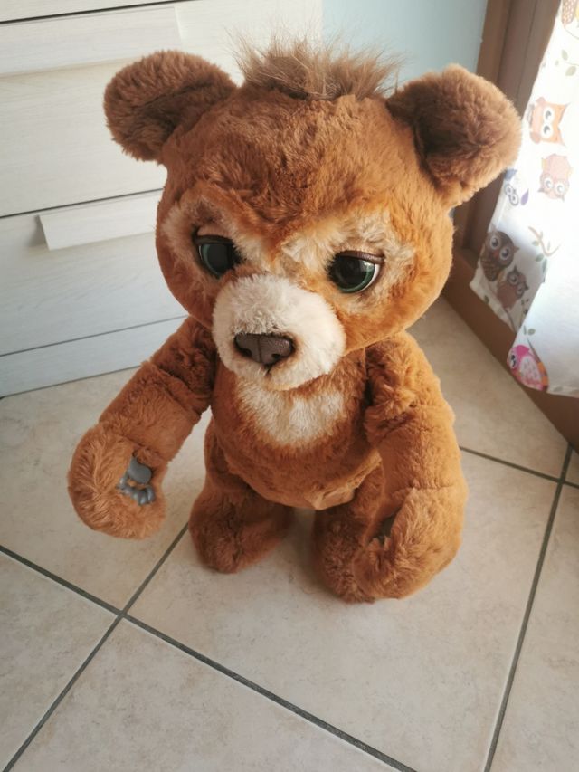 Orsetto cubby interattivo