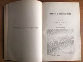 Trattato di anatomia Umana 1899 - L. Testut