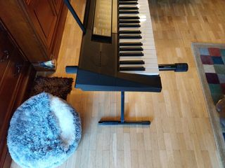 SOLO EL Teclado Yamaha PSRF51