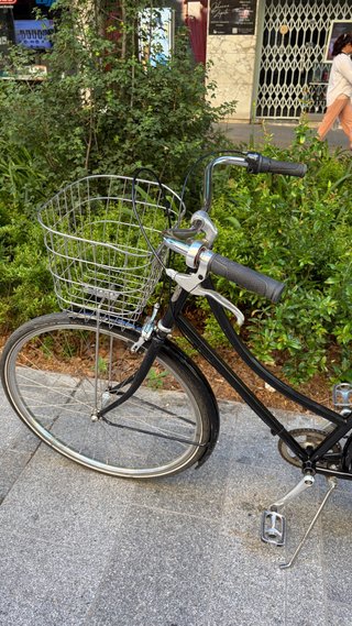bicicleta Pelago