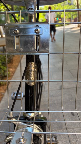 bicicleta Pelago