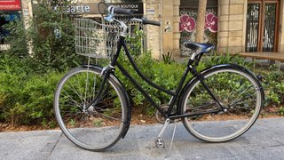 bicicleta Pelago