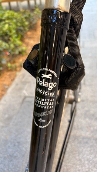bicicleta Pelago