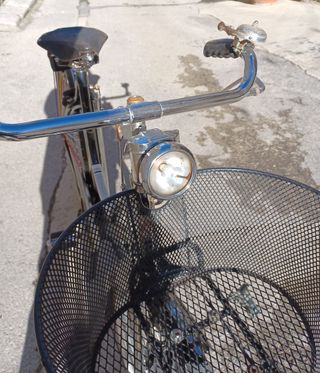 bicicletta da donna marca Umberto Dei Milano usata