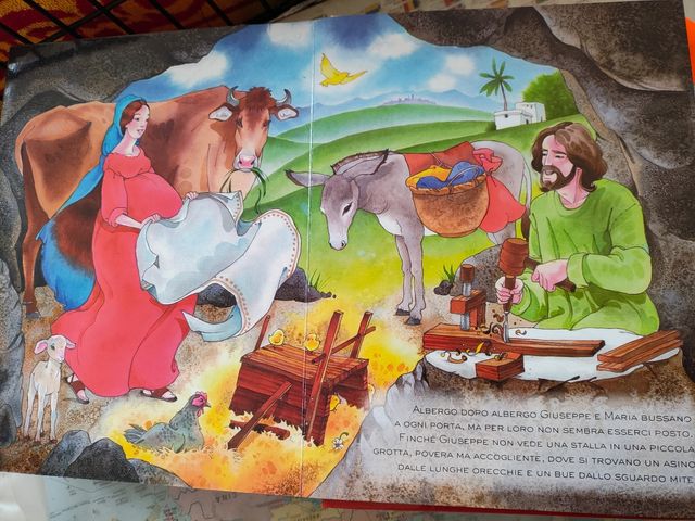 Libro illustrato Natale