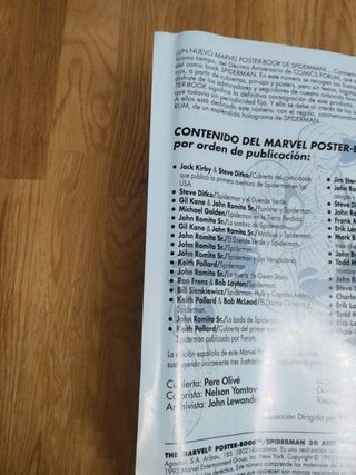 Póster Book Spiderman