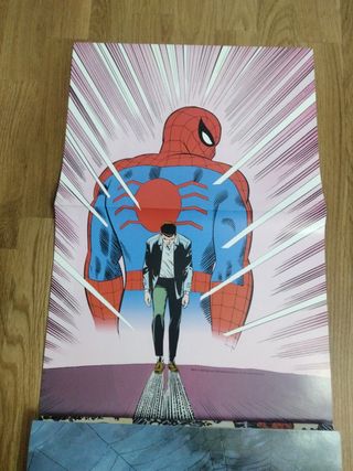 Póster Book Spiderman