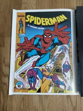 Póster Book Spiderman