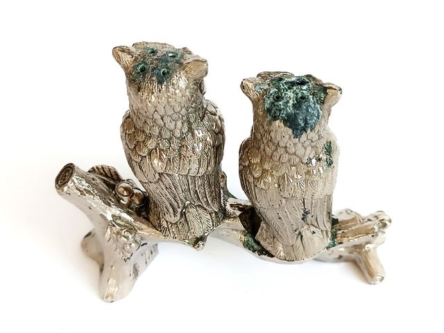 Salero y pimentero búhos