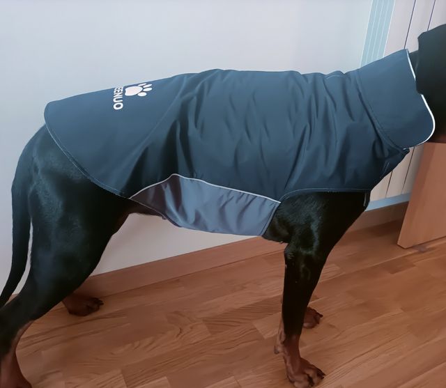 Abrigo perro Ireenuo 2XL