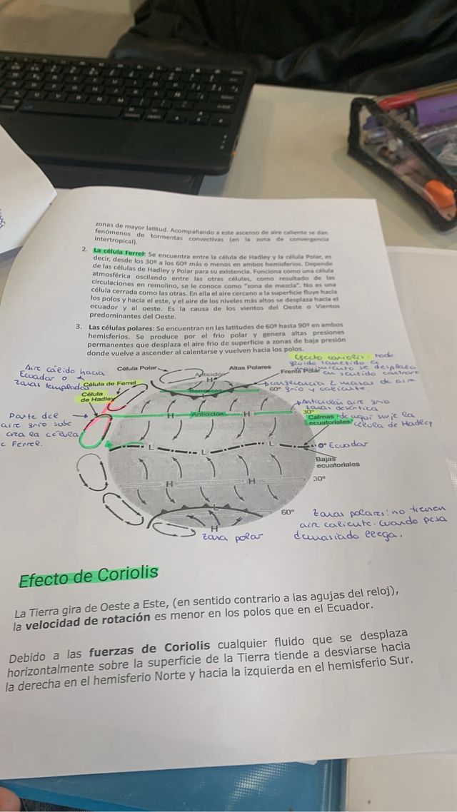 Clases Particulares y apoyo escolar de Primaria