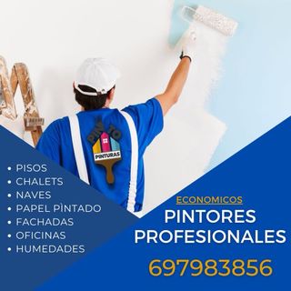 SERVICIO DE PINTORES PROFESIONALES