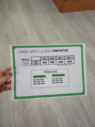 Cama articulada completa (con colchón y somier)