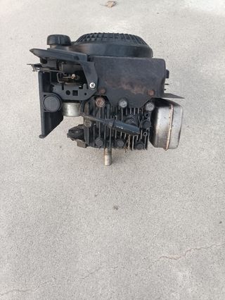 Motor Briggs&Stratton