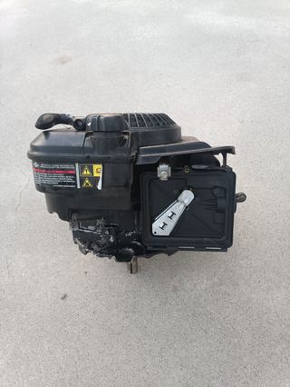 Motor Briggs&Stratton