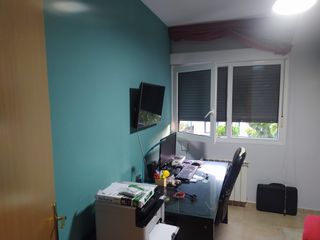 PINTOR PROFESIONAL