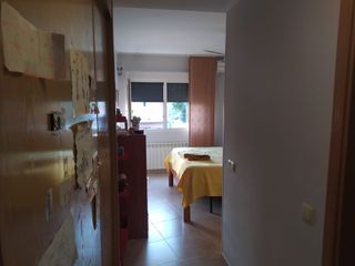 PINTOR PROFESIONAL